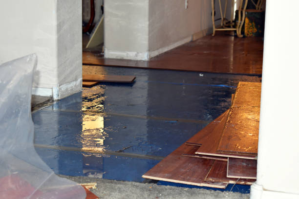Professional Basement Flood Cleanup technician working in Wendover, UT